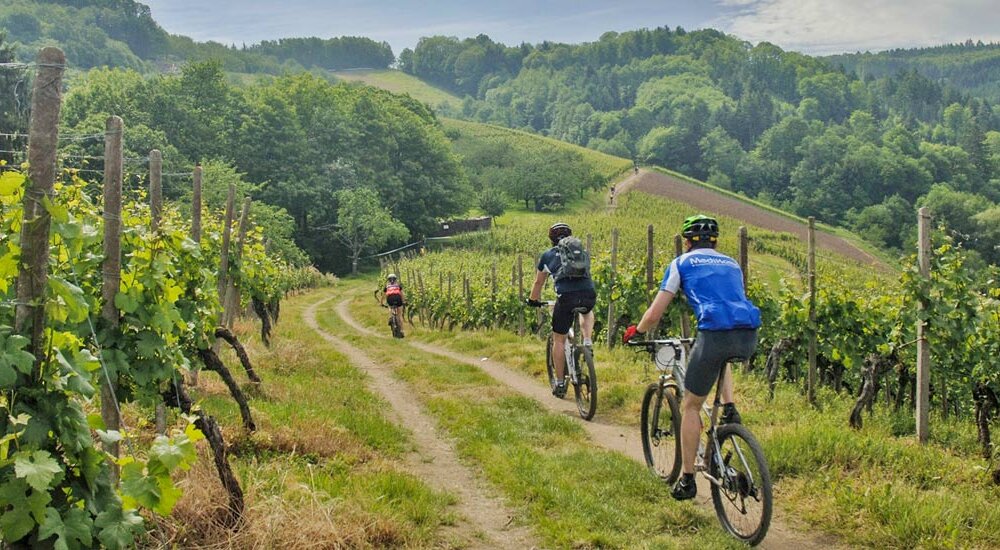Le Langhe in e-bike tra vigneti e borghi storici